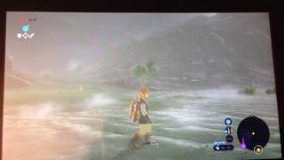 Nintendo Switch Zelda BOTW screen flickering flashing
