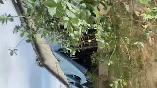 Farm House For Salelocation Chalawa Kano State.size1 Hect Price N100 Mcall. 08036093005