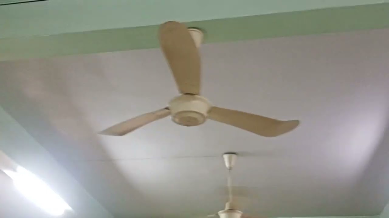 พัดลมเพดานไม่ทราบยี่ห้อ/kawasaki/dk/lucky ที่ร้านอาหาร