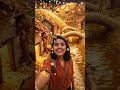 #ChickenBiryani #Diwali Fantasy World Vlog 😱 Full Spicy Food Universe Selfie Experience | #Biryani