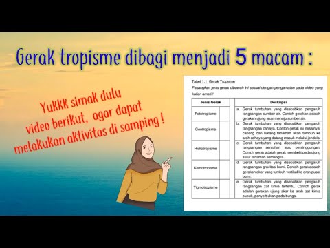 Gerak Tropisme pada Tumbuhan