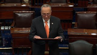 Schumer: 'I cried tears of joy' on DACA decision
