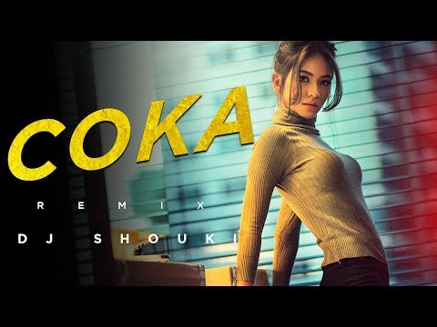 Coka (Remix) - Dj Shouki | Moombahton Mix