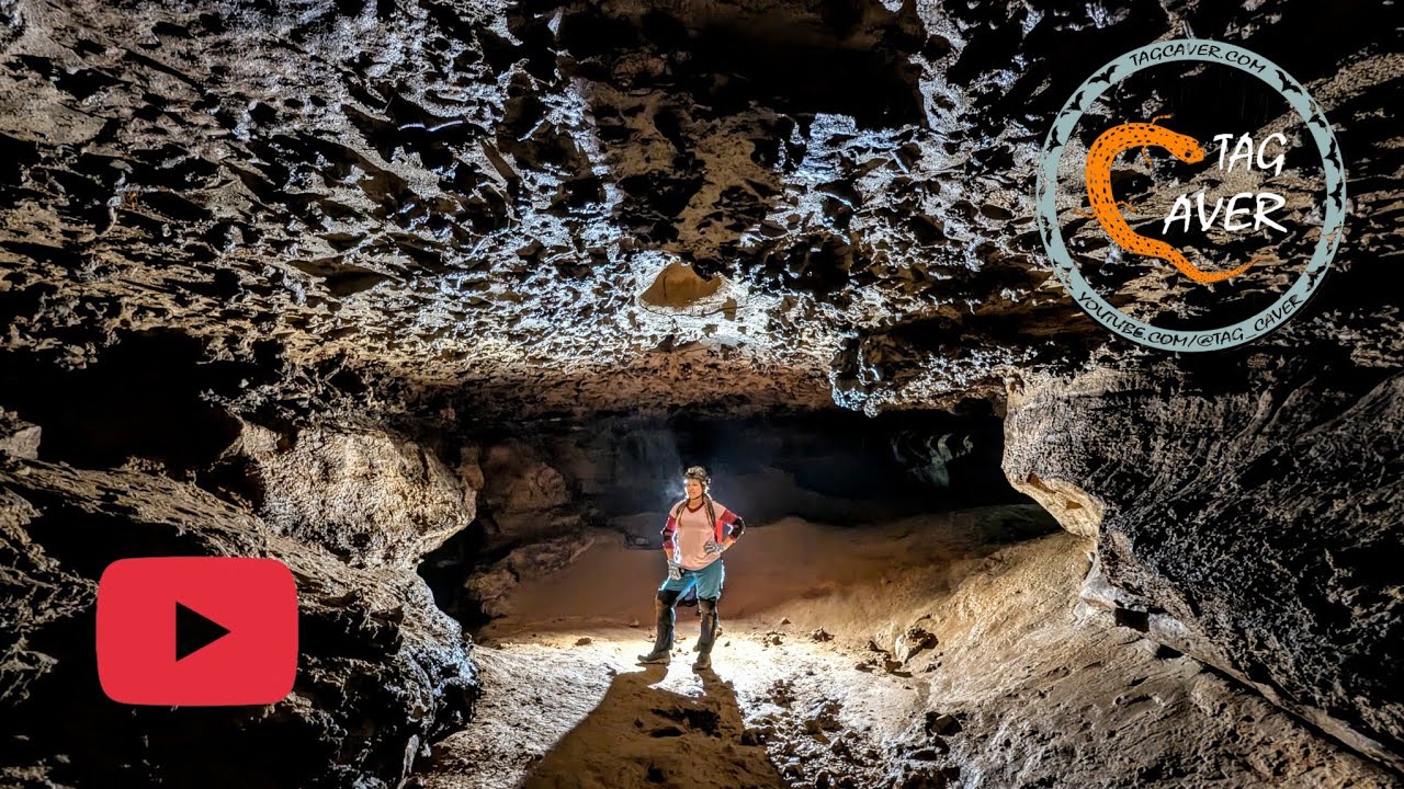 We Found an Ancient Seabed in the Middle of Tennessee