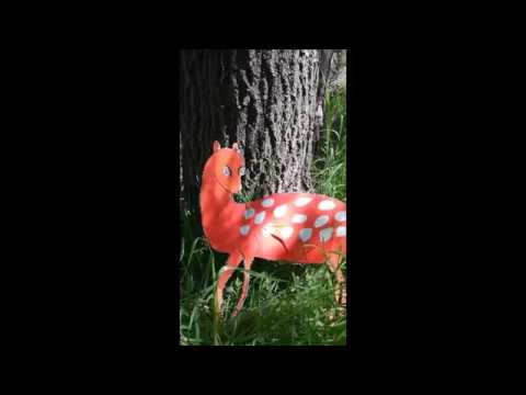 შვლის ნუკრის ნაამბობი