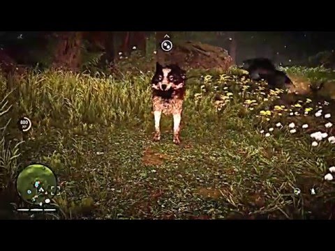 Far Cry Primal Taming Rare Striped Dyre Wolf