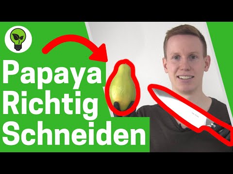 Papaya Schneiden & Essen ✅ULTIMATIVE ANLEITUNG: Wie Schneidet & isst man Papayas? 👉 Kerne Trocknen!