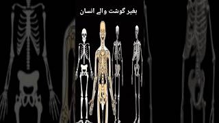 hazrat Muhammad sallallahu alaihi wasallam ka farman bagair Gosht wale Chehre #viral #youtube