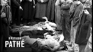 Wide Wide World 1947