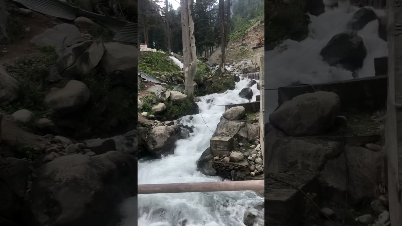 Kalam kpk beauty 🌲🌲🌲🌲🌲
