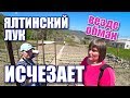 Сладкий ялтинский лук исчезает! Остерегайтесь подделок! Озеро Бирюзовое и Ровное. Крым сегодня 2019