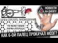 Новый углерод. 6-ой палец. Стрельба животными. Заднее дыхание. Корона-лекарство. Новости QWERTY №172