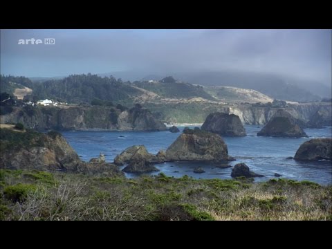 Vidéo: Les Meilleures Destinations Bien-être En Californie Du Nord