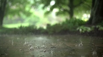 سورة الحاقة || القارئ إبراهيم العياف