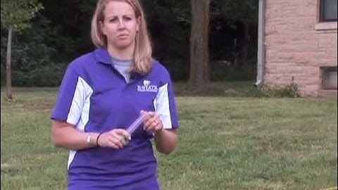 Proper Placement of Rain Gauge