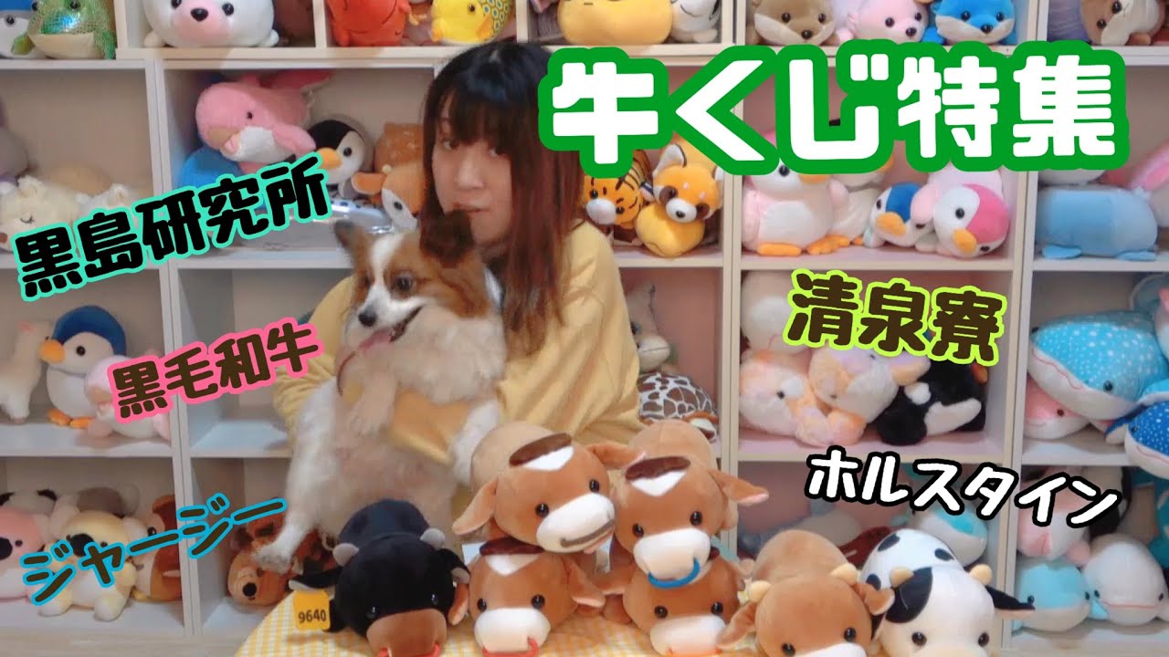 あ*り様 優里 Dogぬいぐるみ ランダムくじ4点セット Dreams（ドリームズ） MUGYUUUS むぎゅーず(ビーグル/ネコ/ウサギ