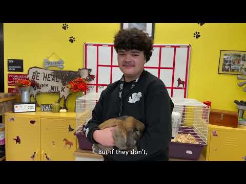 Felix Varela Senior High School Nurtures Future Veterinarians with its Popular Magnet Program