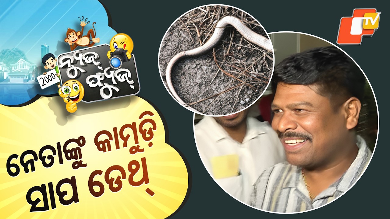 News Fuse 27 MAR 2026