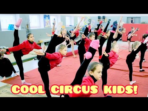 Video: Jak Vstoupit Do Cirkusové školy