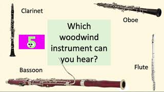 Quiz   Woodwind Instruments screenshot 4