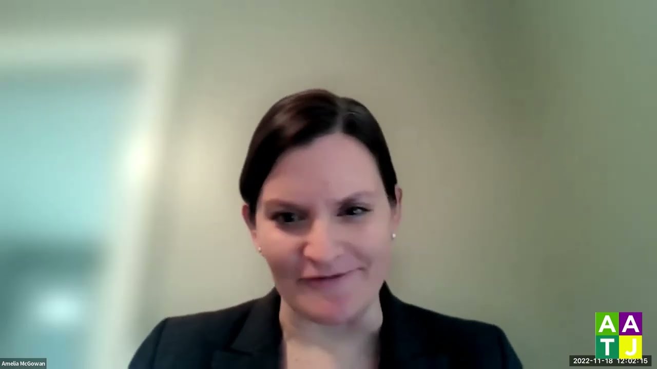 Comprehensive Guide to Immigration Law Fundamentals and Key Insights