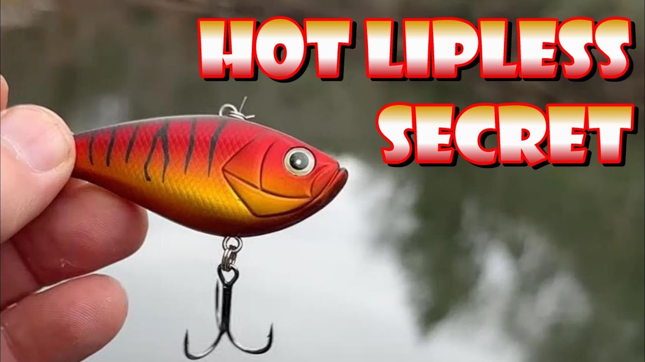 The SECRET To Winter LIPLESS Fishing 
