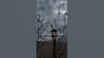 استمع الى القران الكريم اجر لي ولك🎧♡
