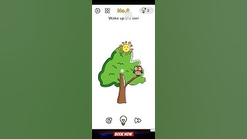 Brain Out Level 8 | Wake up the owl |  Brain Out Game Solution