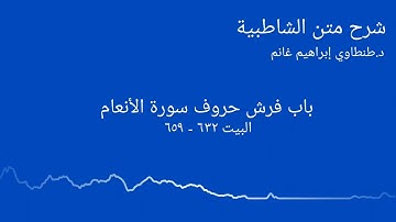 شرح الشاطبية || د.طنطاوي إبراهيم غانم || سورة الأنعام ١