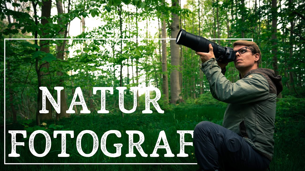 Naturfotografering - På jagt efter skovens bedste billeder // Forår i Danmark - Nikon z6 Nature