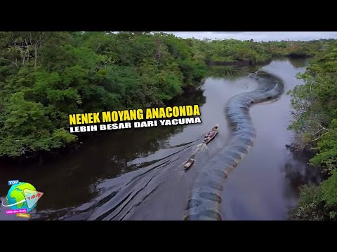 Video: Adakah sungai amazon berliku-liku?