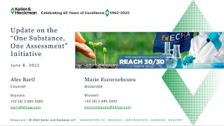 June 2022 REACH 30/30: One Substance, One Assessment