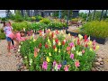 New Butterfly Garden | Speaking from the Heart // Continued Episode | The Lawrence Garden Farm