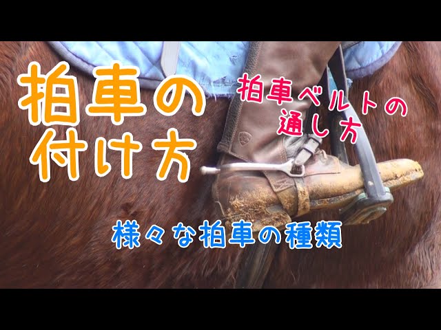 拍車の付け方と拍車の種類を紹介！ - YouTube