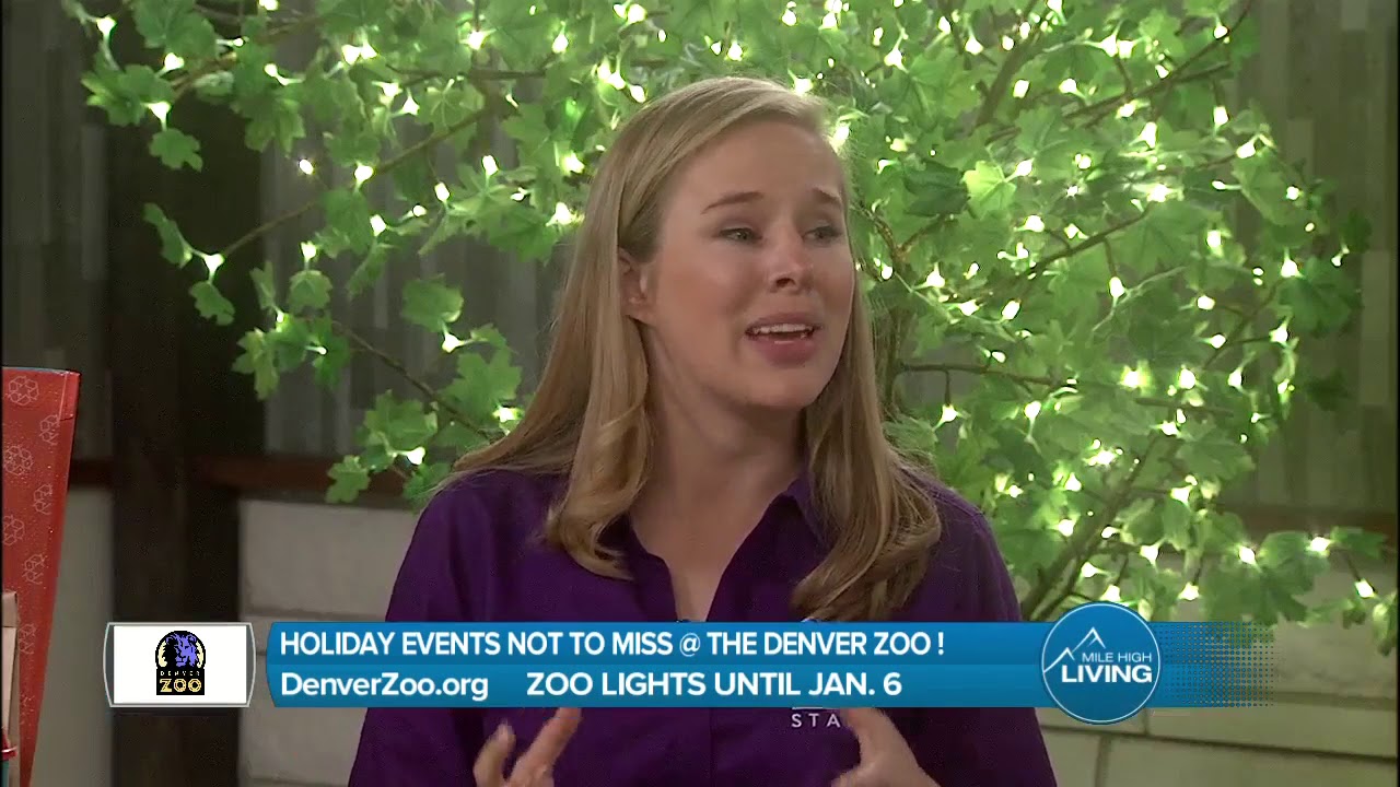 Denver Zoo Lights - Don't Miss this Awesome Holiday Event!