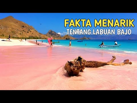 JADI LOKASI KTT ASEAN || INI FAKTA LABUAN BAJO YANG JARANG DIKETAHUI PUBLIK‼️