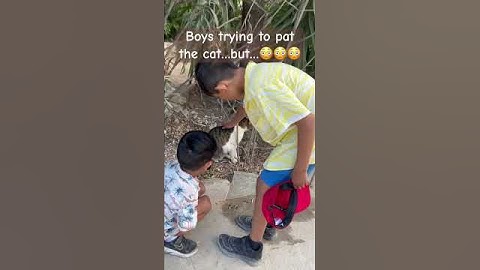 Boys and Cat … #love #pets #cat #catlover #animallover #entertainment #travel #familytravel #family