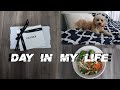 DAILY VLOG | Lily Silk Unboxing + What I Eat In A Day