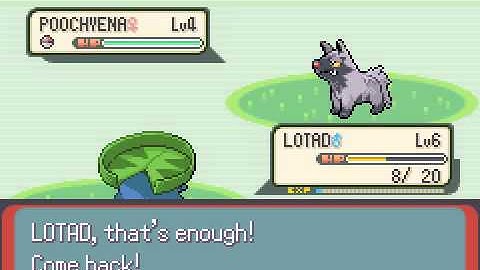 Pokemon Emerald - Hard Edition (beta 1.03) (GBA / Game Boy Advance) - Vizzed.com GamePlay (rom hack)