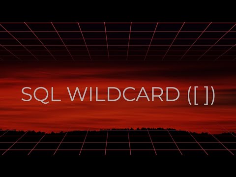 SQL WILDCARD ( [ ] )