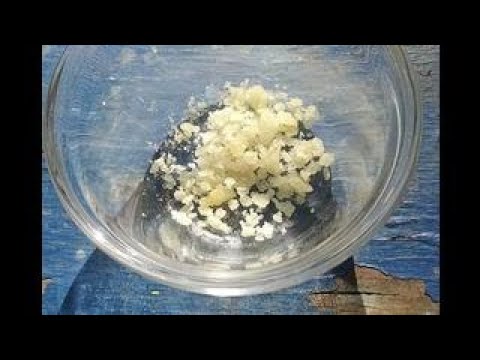 Kratom Extraction Redux: Preparation of “Crystal Kratom” in Extreme Detail (2/2) (Reupload) #kratom