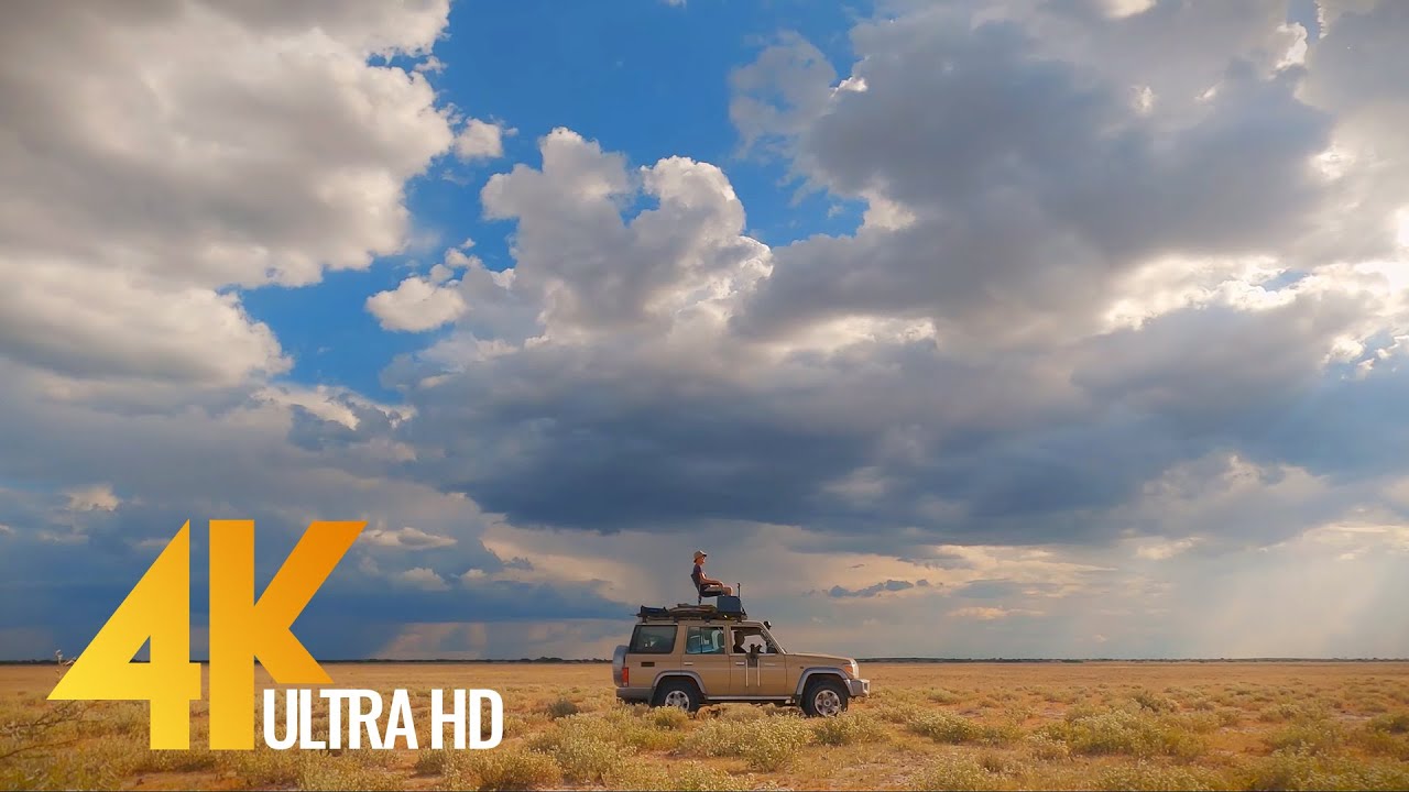 Behind the Scenes of Wildlife Filmmaking in Botswana  4K UHD