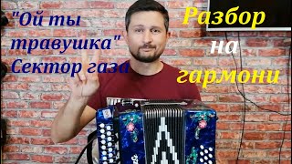 Ой ты травушка Сектор РАЗБОР на гармони