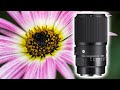 SIGMA 105mm 2.8 Macro ART REVIEW for Sony Cameras