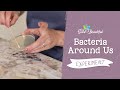 Bacterial Growth Experiment Quiz