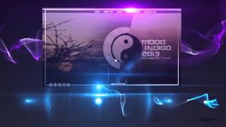 Website Launch - Mood Indigo 2013