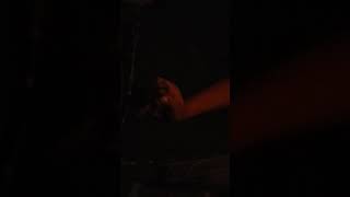 Mr. Lizard sings Hello by Adele