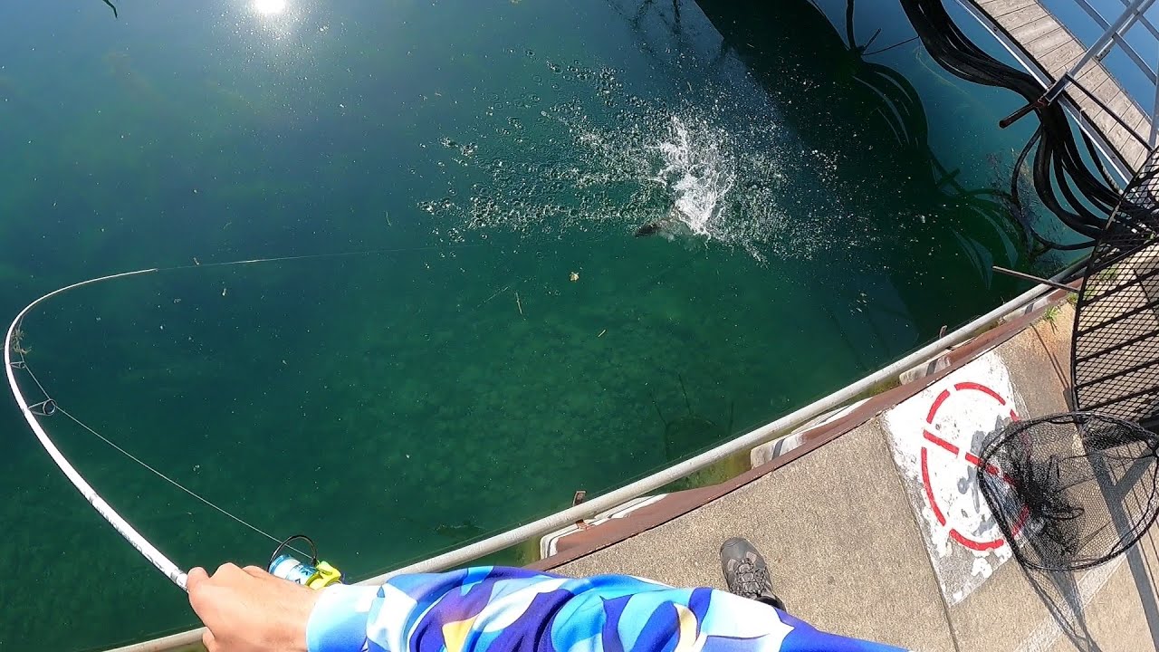 Lake Michigan Chicago Smallmouth Bass Fishing