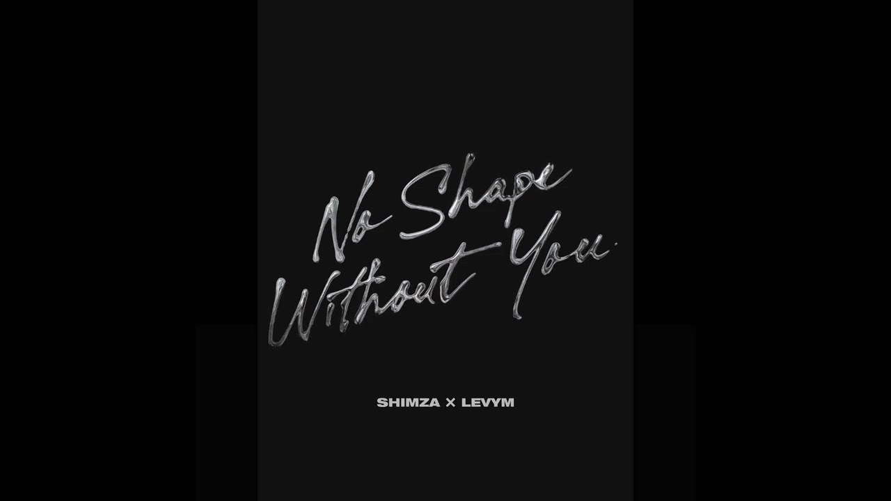 Shimza & LevyM - No Shape Without You (Visualizer) [Helix Records]