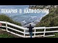 Пекарня в Калифорнии - быть или не быть